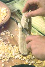 
Sweet corn freezes beautifully.
